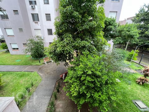 Image 11 - 273053